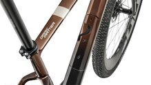 Argon 18 Dark Matter 2025