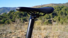 Bergamont Grandurance Expert 2024