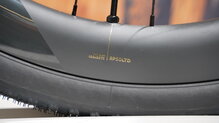 Orbea Terra Race