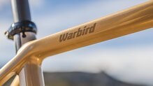 Salsa Warbird C GRX 810 2X