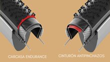 Carcasa Endurance