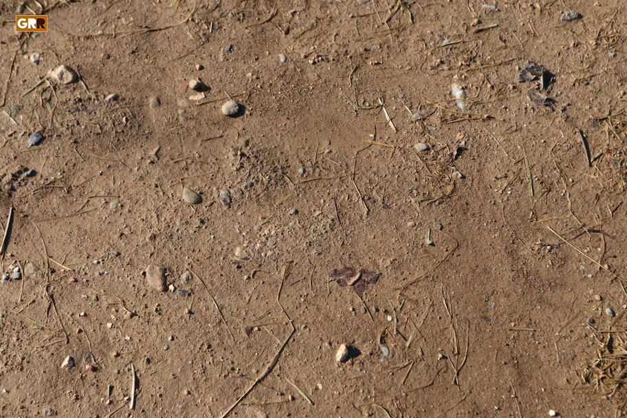 Terreno compacto
